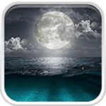 mystic night live wallpaper android application logo